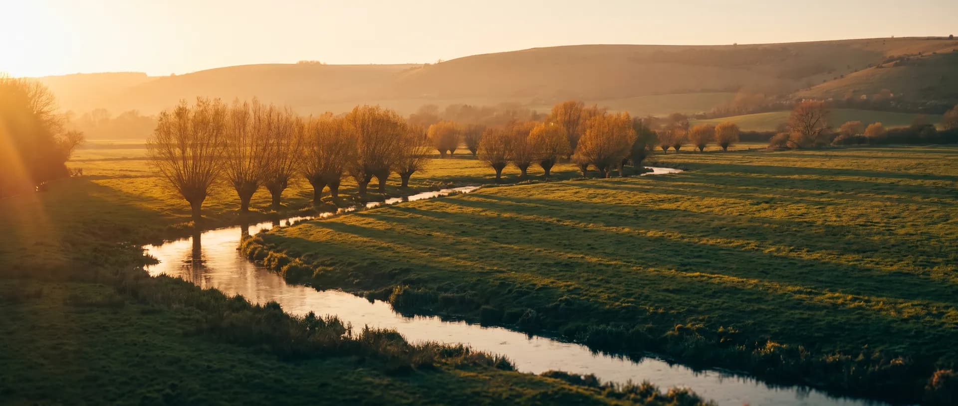 Hampshire Test Valley water meadow at golden hour, near Hook, Hampshire